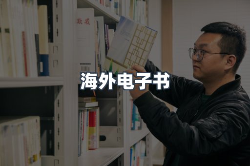 海外电子书
